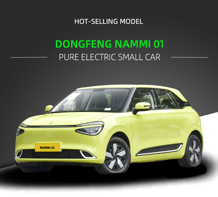 Dongfeng-NAMMI01_01.jpg